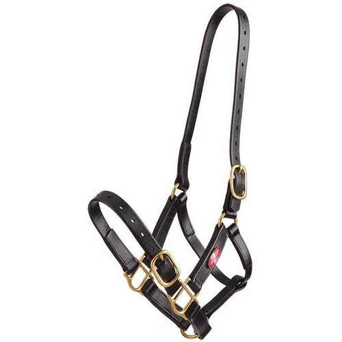 Zilco 25mm headstall - zilco,