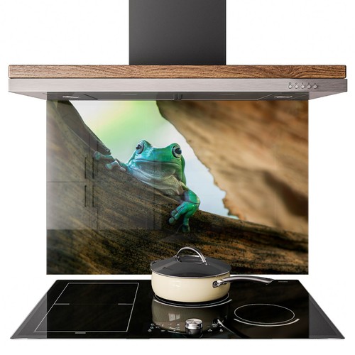 Glass splashback kitchen tile - splashback,