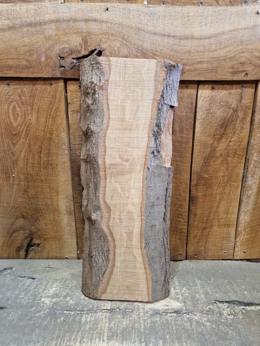 Live edge beech slab - live,