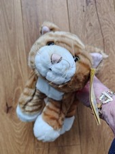 LAST CHANCE!)In Brand-new