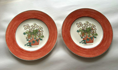 Wedgwood sarah garden - 2,