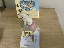 Robert Harrop PT17 PERFECT PETS MISTY