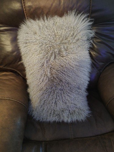 Lifestyle 100 wool - wool, mongolian