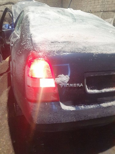 Nissan primera 2004 left rear - 2004,