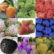 20x Mixed 9 Types Of Rare