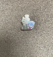 Bolton Wanderers Pin Badges