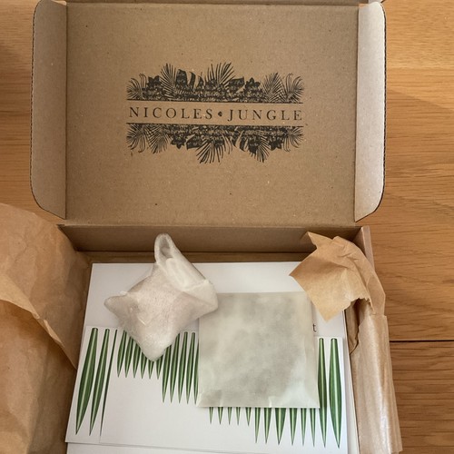 Miniature paper plant kit - miniature,