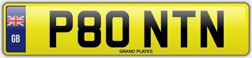 Pontin surname number - pontin,