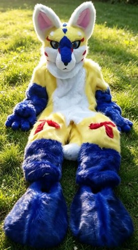 Long fur husky dog fox - long,