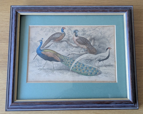 Antique victorian framed - ,
