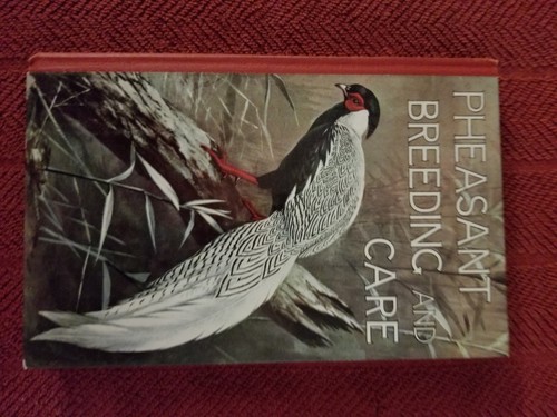 Pheasant breeding and care