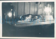 1956 Girl Guides photo  cycle trip to Holland Desk lamps and platter