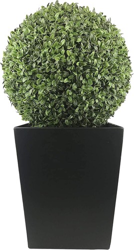 Artificial aglaia boxwood - aglaia, ball