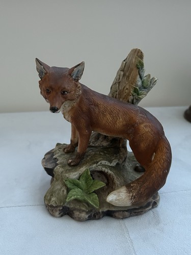 Kowa red fox vulpes - kowa,