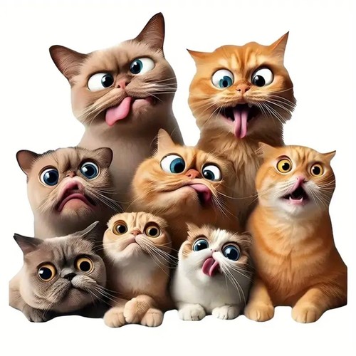 Funny crazy cats dtf - funny,