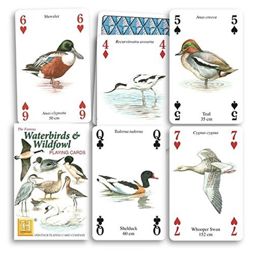 Waterbirds wildfowl set of - waterbirds,