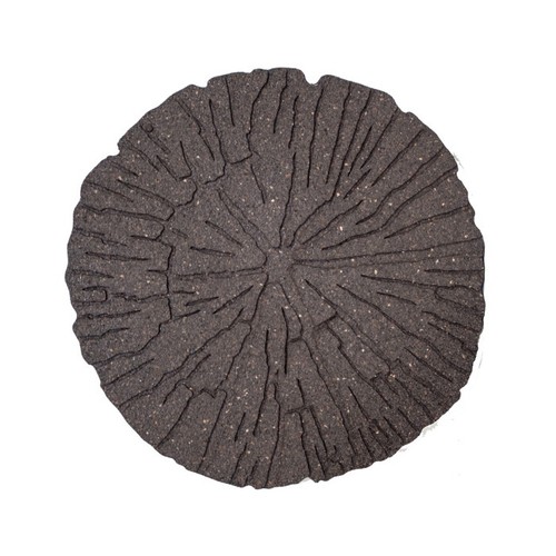 Primeur cracked log stepping - log,