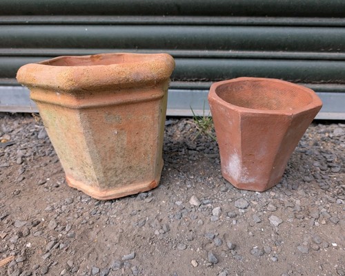 Vintage terracotta plant - x2,