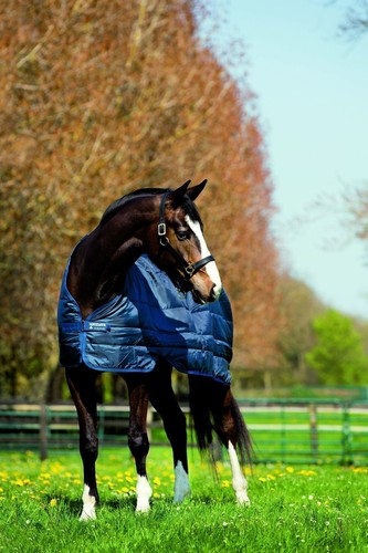 Horseware liner heavy - horseware,