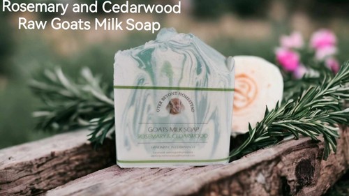 Homemade 100 raw goats milk - homemade,