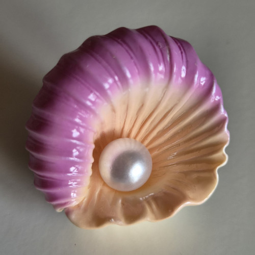 Shell seashell ornament - shell,