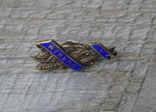 Vintage Sterling Silver Durham Royal Masonic Institute for Girls Jewel Badge