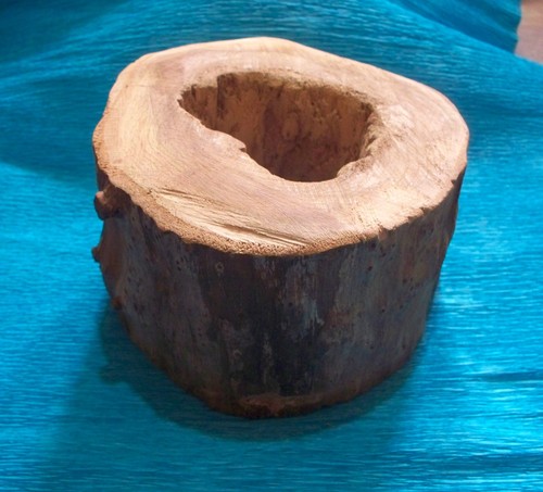 Rustic hollow oak - log, wood