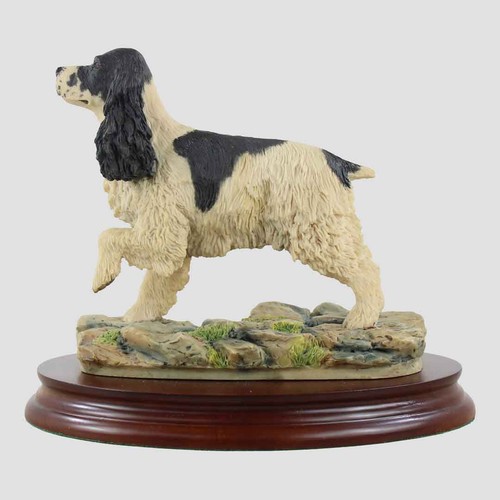 Cocker spaniel border fine - cocker,