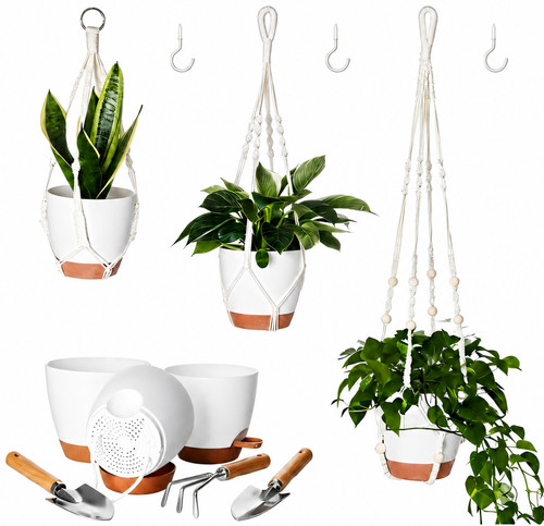 Self watering hanging plant - self,