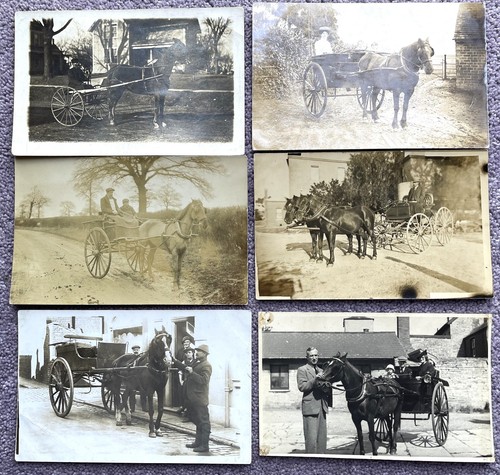 Horse drawn postcards - x,