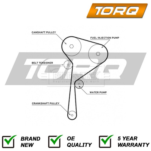 Timing cam belt - cam,
