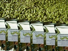 450g Hops - Citra Cascade Fuggles Saaz Simcoe Amarillo Ella Godiva BRU-1 Home...