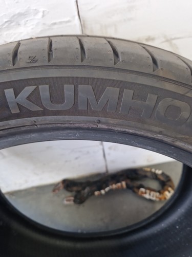 The khumo ecsta - the,