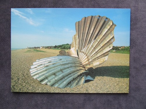 Postcard the scallop - postcard, of