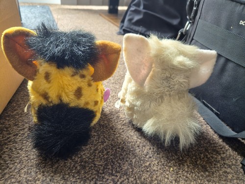 Furby toys from 1999 - furby,