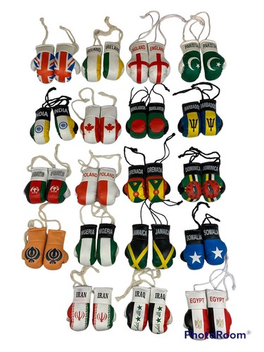 Mini boxing gloves for car - boxing,