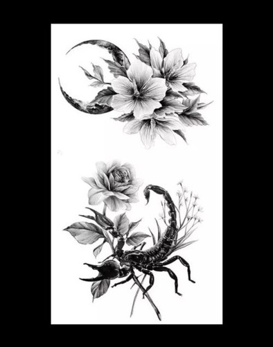 Black white scorpion - black,