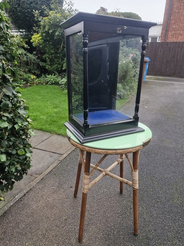 Antique ebonised museum - ebonised,