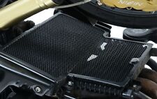Triumph Speed Triple 2005 R&G Radiator Guard (Aluminium) RAD0161BK