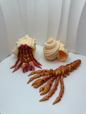 Ornamental hermit the crab - , and