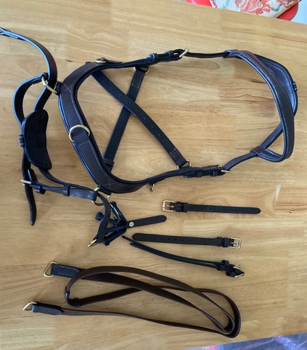 Micklem multi way - multi-way, bridle