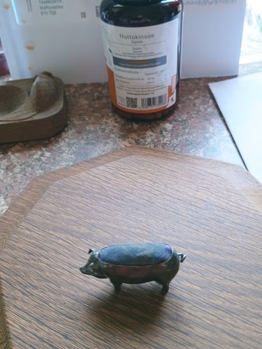 Antique silver pig - antique, cushion
