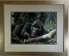Joel Kirk ‘Gorillas Of The