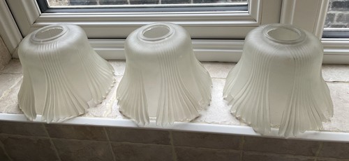 Frosted glass tulip - 3x,