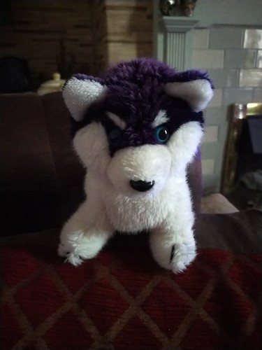 Dakin vintage 1980s - 1980s, husky