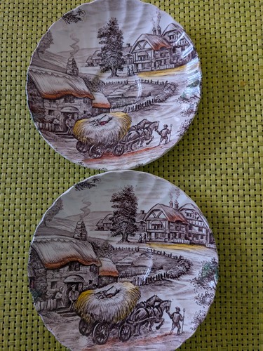 Yorkshire staffordshire - yorkshire,