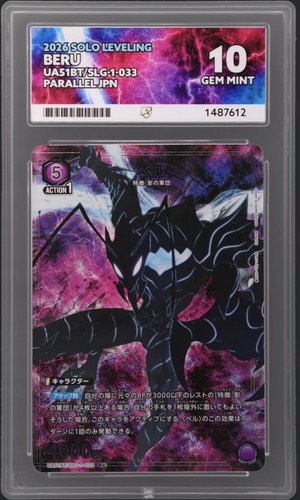 Ace beru parallel union - 10,