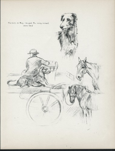 Deerhound lurcher cart - deerhound,