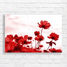 Floral Poppy Field Red Canvas