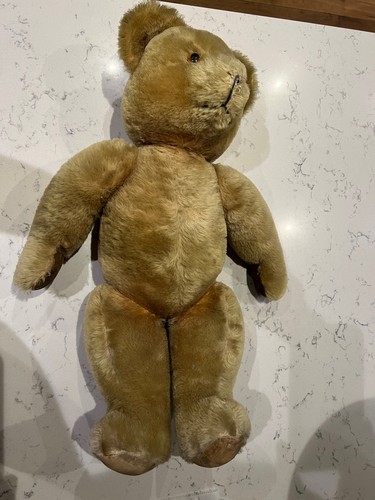 Vintage large pedigree teddy - large,